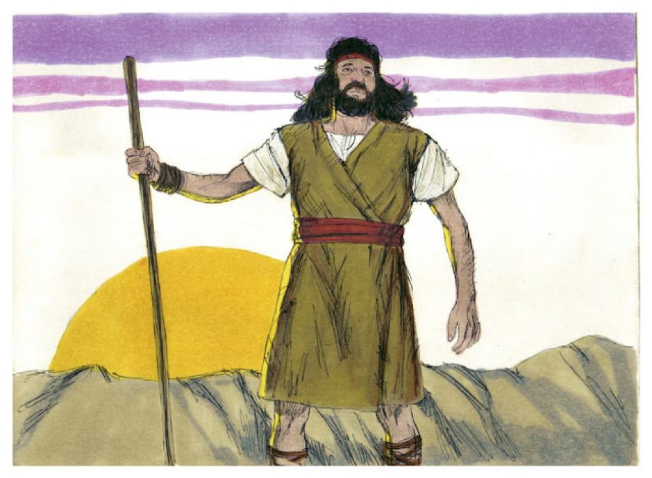 picture1 1