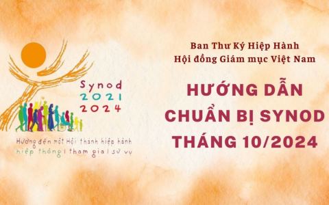Ban Thư Ký Hiệp Hành / HĐGMVN: Hướng dẫn chuẩn bị Synod tháng 10/2024