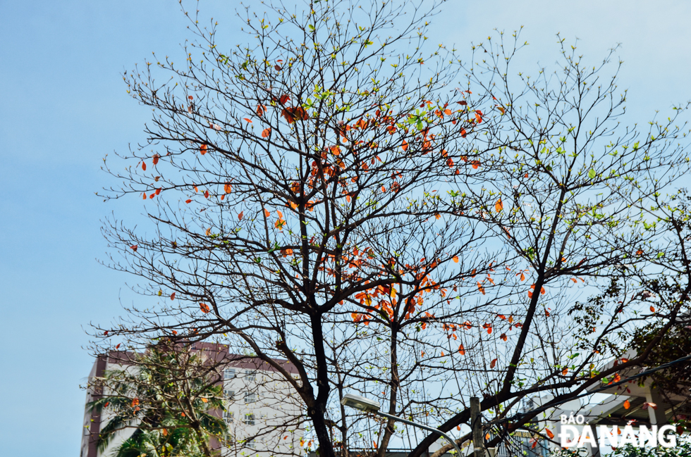 images1544342 dsc 4873