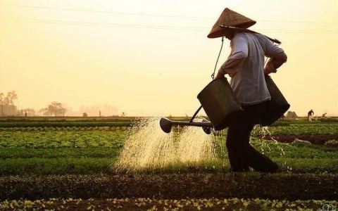 Mùng 3 Tết: Thánh hoá công việc làm ăn