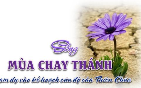 Mùa chay và kế hoạch cứu độ