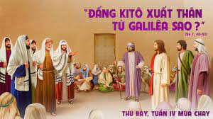 image 11 1