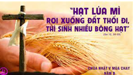 Đức Giêsu chịu khổ hình vì yêu nhân loại