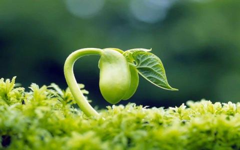 Sự sống đáng quý