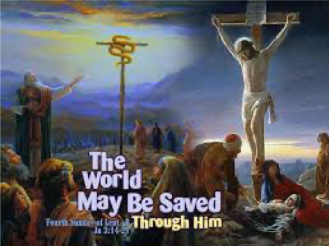 picture1 6