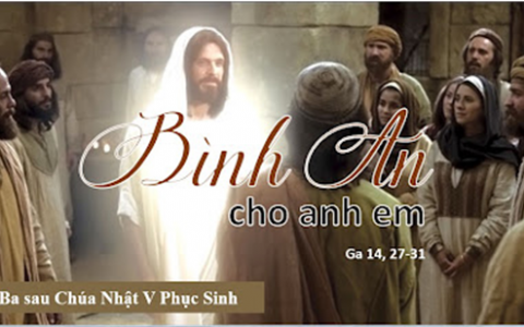 Tin cậy vững vàng
