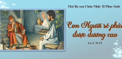 Những hoa quả dồi dào