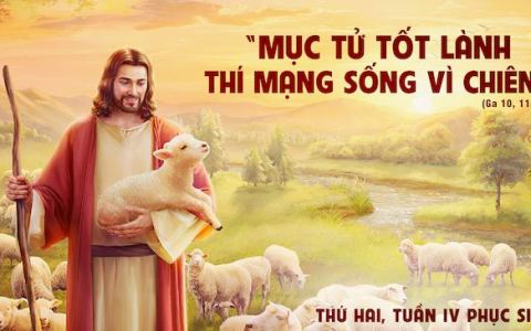 Hưởng phúc trường sinh
