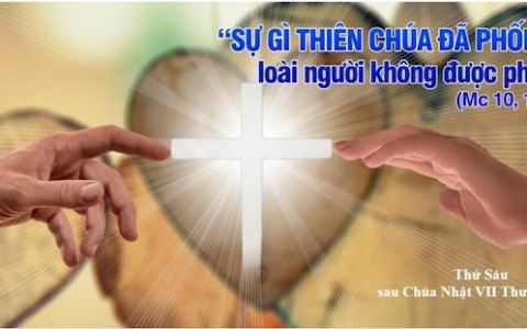 Từ bi nhân hậu