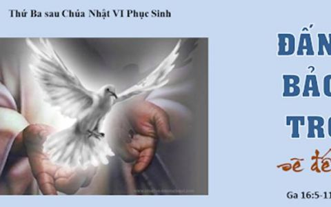 Nắm chắc hy vọng