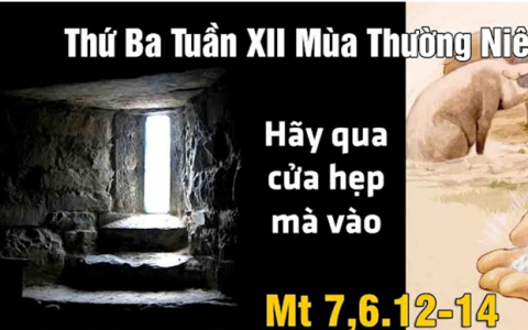 Cửa hẹp – cửa sống