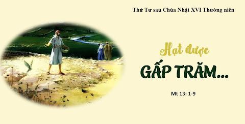 Hạt giống rơi vào đất tốt