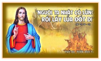 Tiêu diệt tận gốc cỏ lùng