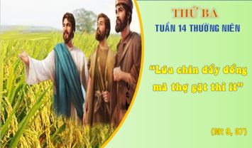Hãy tin cậy Chúa