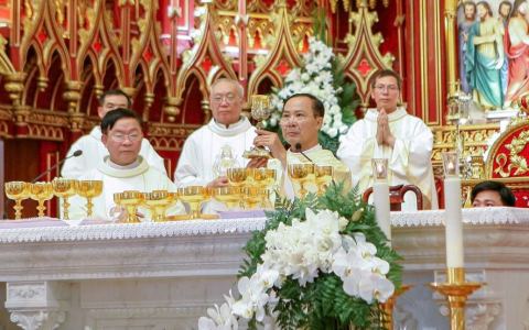 Cha Đaminh Đinh Xuân Cảnh mừng ngân khánh linh mục