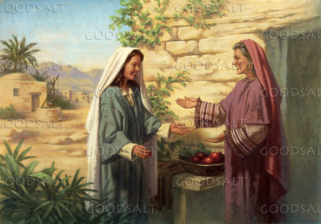 mary visits elizabeth 2 goodsalt lfwas0172