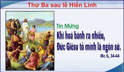 Yêu thương thật lòng