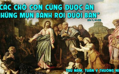 Khiêm tốn đón nhận lời