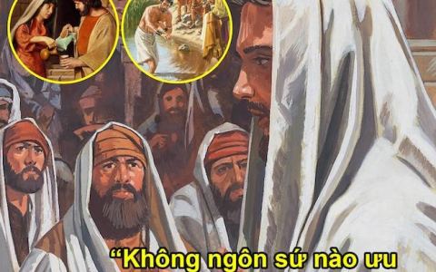 CN tuần IV TN Năm C: Sứ mạng phổ quát