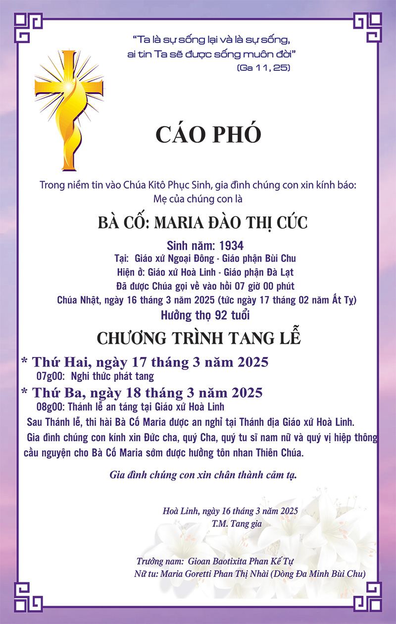 cao pho web