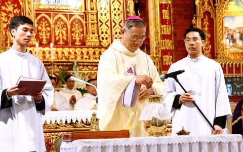 Thánh lễ Truyền Dầu và hành hương cấp Giáo phận