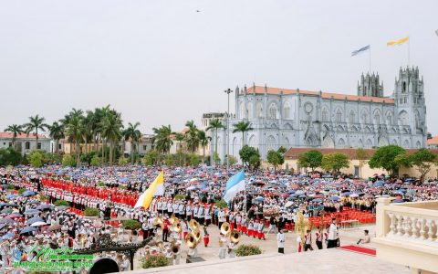 Hoa trái Năm thánh nở rộ khắp Giáo phận