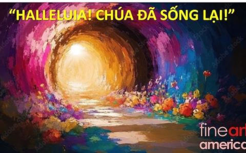 Tội hồng phúc