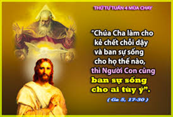 image 27