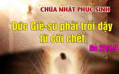 Ăn mừng đại lễ