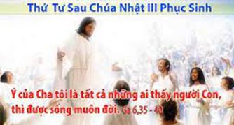 Tản mác để lan toả, bị bắt để trưởng thành…