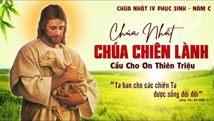 Tôi ban sự sống đời đời cho chiên