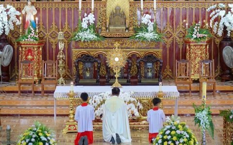 Giáo xứ Vinh Phú chầu Thánh Thể thay giáo phận