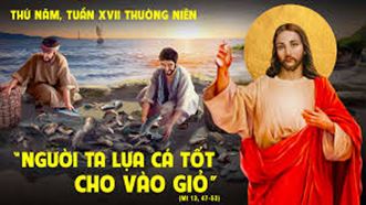 Cá tốt cá xấu