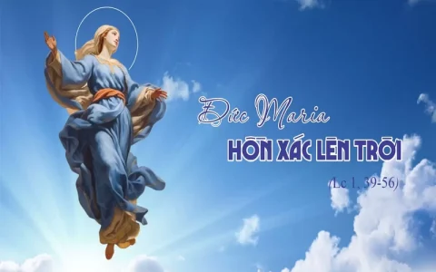 Nam Dương mừng Đức Mẹ Maria Hồn Xác Lên Trời