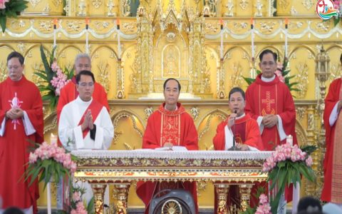 Giáo họ Đế hân hoan mừng lễ Quan thầy