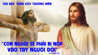 image 23
