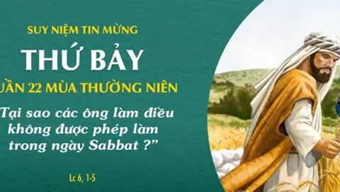 Không được phép làm