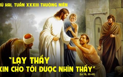 Xin cho tôi nhìn thấy