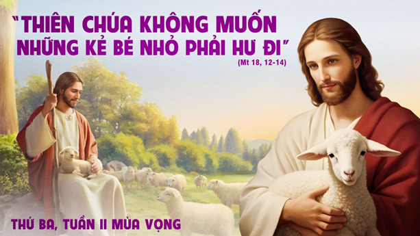 image 35