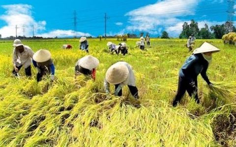 Lao động để làm gì?