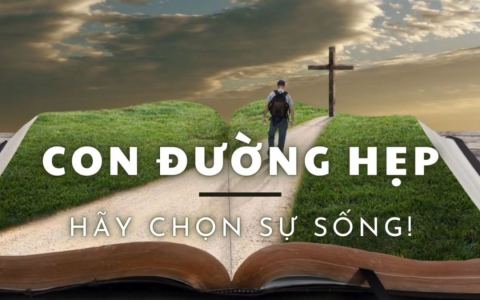 Tự do chọn sự sống