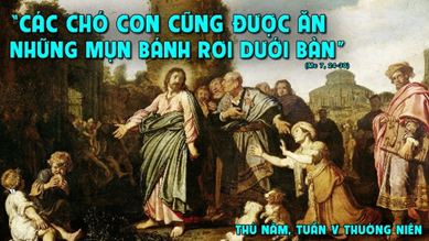 Chó con ăn mảnh vụn