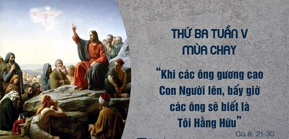 image 23