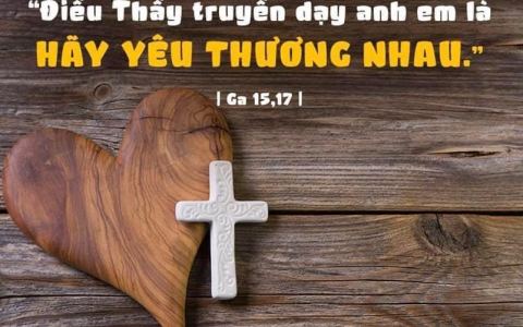 Luật yêu thương