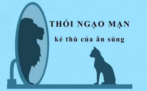 Thói ngạo mạn, kẻ thù của ân sủng