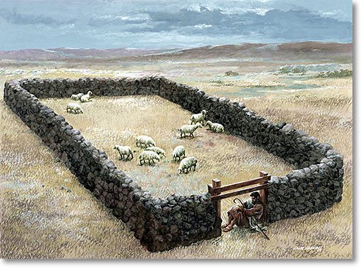 door of the sheepfold