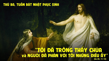 image 35