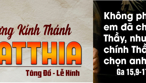 Không phải anh em chọn