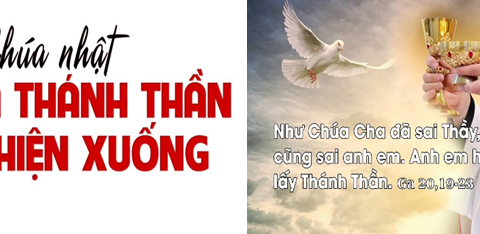 Thầy cũng sai anh em