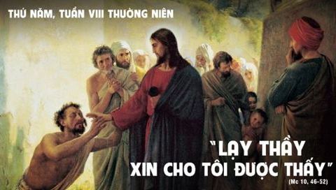 Xin cho tôi nhìn thấy được